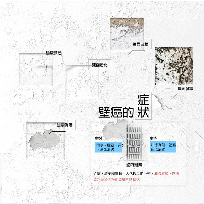 台灣製 SPRAY SEALER 壁癌醫生 防水牆壁修補組合 | 補牆膏 連 白色防水補牆噴霧 （一套兩件） - SHOPTAKE 生活雜貨
