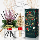 韓國COCOD'OR聖誕系列 香氛擴香瓶120ML 季節版木質擴香棒 | 立體聖誕樹/松果永生花 | 聖誕節情人節新年禮物 - SHOPTAKE 生活雜貨